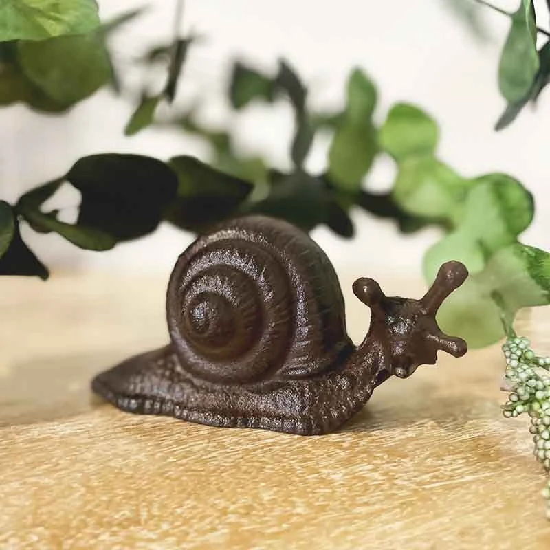 Escargot Fonte 8x6x16cm