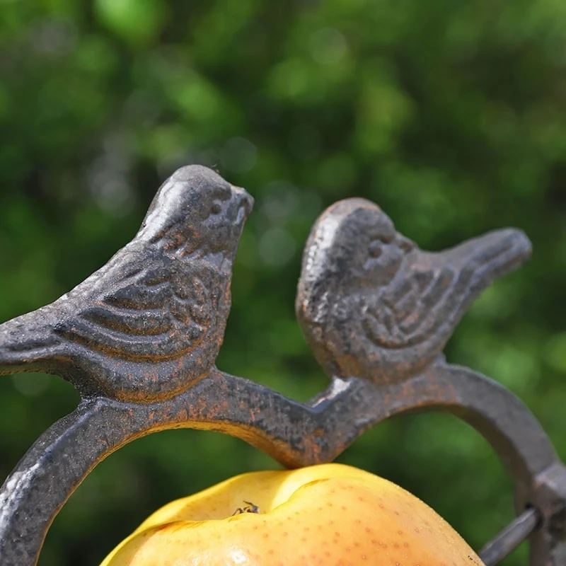 Pique Pomme Oiseaux à Planter 16x122cm – Image 4